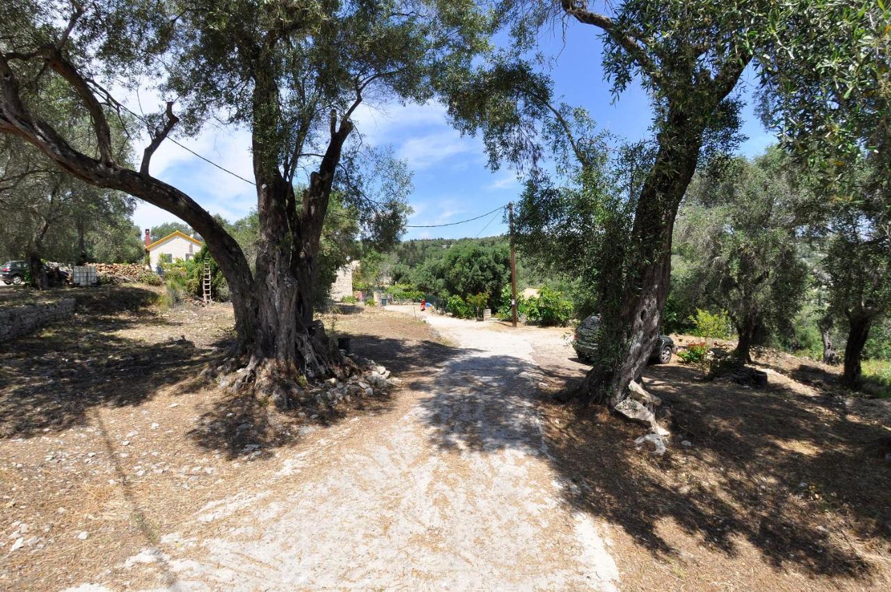 Adamantia Hotel Gaios Exteriér fotografie
